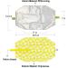 Urban Green Reusable Sandwich Wraps - Lemon & Avocado (Pack of 2) | Deli Food Wrap & Snack Bag Set - Buy Online on SooperMarket.com