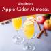 Alpine Spiced Cider Single Serve Cups - 30 Count (Pack of 1) - Buy Online on SooperMarket.com