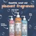 Shampoodle Sweet Orange & Tea Tree Dog Shampoo & Conditioner 500ml - Flea & Tick Repellent - pH Balanced Vegan Formula with Aloe Vera & Vitamin E - Buy Online on SooperMarket.com