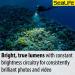 SeaLife Sea Dragon 3000SF Pro Dual Beam Underwater Scuba Light Kit (SL679) - Compact COB LED Photo-Video Lighting for Diving - Grip & Tray Included - Buy Online on SooperMarket.com