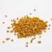 Mini Butterscotch Drops - 1 lb. Bulk Size Baking Chips in Resealable Bag - Buy Online on SooperMarket.com