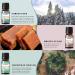 EUQEE Holiday Cheer Fragrance Oils Set - Forest Pine, Christmas Wreath, Brown Sugar, Harvest Spice, Gingerbread, Pumpkin Pie - 10ml Scented Oils for Diffuser and Candle Making - Buy Online on SooperMarket.com