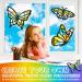 9-Piece Butterfly Suncatcher Craft Kit with 12 Colors Tissue Paper - Kid-Friendly DIY Window Art & Party Favors - Buy Online on SooperMarket.com