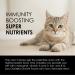 Sun Chlorella Rejuv-A-Wafers - Daily Superfood Supplement for Pets - Immune Defense & Gut Health Support - 60 Wafers - Buy Online on SooperMarket.com