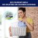 OxiClean White Revive 3 lbs - Laundry Whitener & Stain Remover - Buy Online on SooperMarket.com