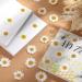 120 Real Dried Daisy Flowers - Natural DIY Petals for Scrapbooks & Art Decors (Primary Color) - Buy Online on SooperMarket.com