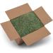 Dried Natural Alfalfa Hay for Rabbits, Guinea Pigs, Chinchillas & Ferrets - Protein and Fiber-Rich Food - 5 lb Pack - Healthy Pet Food - Buy Online on SooperMarket.com
