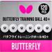 6 or 120 White Butterfly 40+ Training Balls - Ideal for Multiball Practice and Comparable to Three-Star Ball - Get Yours Now! - Buy Online on SooperMarket.com
