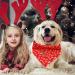Lionheart Glory Dog Haller Washable Cotton Christmas Neckerchief | Adjustable Large Dog Kerchief | Red Holiday Neck Towel (1 Pack) - Buy Online on SooperMarket.com