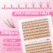 280pcs Lankiz Brown Eyelash Extensions Set - 20D C Curl Mix 9-15mm Individual Lashes with Adhesives Glue Remover & Applicator | Perfect for Beginners - Buy Online on SooperMarket.com