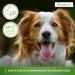 Bogacare Perfect Eye Cleaner for Dogs - Effective Tear Stain Remover | Safe & Non-Burning Formula | 100% Satisfaction Guaranteed - Buy Online on SooperMarket.com