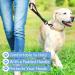 Short Dog Leash with Padded Handle | Reflective Nylon for All Dog Sizes | 32cm Training Leash - Buy Online on SooperMarket.com