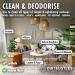 Dirtbusters 5L Carpet Cleaner Shampoo Solution - Stain Remover & Odor Treatment - Orange Fresh Scent - Buy Online on SooperMarket.com