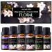 Floral Fragrance Oil Collection - Premium Grade Gift Set Oils for Diffuser, DIY Candle Making, Soap Scents, Slime, Home, Aromatherapy - Jasmine, Vanilla, Parma Violet, Freesia, Lily, Rosemary (10ml) 6-Pack | Floral Organic…