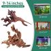 Natural Driftwood Aquarium Decor - Assorted Branches for Reptile/Fish Tank (2 Pack, 9-14 inch) - Buy Online on SooperMarket.com