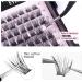 Jsdoin Cluster Lashes 84 Pcs C/D Curl 8-16mm Length DIY Eyelash Extensions - Natural & Mega Styles - Buy Online on SooperMarket.com