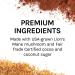 Host Defense MycoBrew Cocoa Drink Mix - 10.5oz, Supports Calm and Relaxation with Lions Mane Mushroom - 1 Count Pack - Buy Online on SooperMarket.com