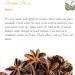 Organic Anise Star Seed Tea - Illicium Verum Herbal Infusion 200g - Buy Online on SooperMarket.com