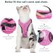 WD&CD Cat Harness and Leash Set Escape Proof Cat Harness Adjustable Soft Cat Walking Jackets with Retractable Cat Leash For Pet Puppy Pink Medium Medium Pink - Buy Online on SooperMarket.com