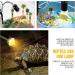 Tortoise Heat Lamp 50W UVA UVB Basking Lamp with 360 Rotatable Clip & Power Adapter 30cm Rotatable Gooseneck with 3 x 50W Heat Bulb Heating Light for Reptiles Lizard Turtle Snak Aquarium - Buy Online on SooperMarket.com