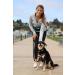 One Trail Hands Free Dog Lead | Durable Bungee Leash With No-Bounce Pack (Large Dog Black) Large Dog Black - Buy Online on SooperMarket.com