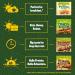 Nature Valley Protein Peanut & Chocolate Gluten Free Cereal Bars 4 x 40g (Pack of 8 total 32 Bars) & Crunchy Granola Bars Variety Pack of 40 Bars - Buy Online on SooperMarket.com