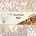 Mynatura Walnuss Mus 280g - Fresh Walnut Spread | Nutty Snack & Bread Spread in Glass Jar (1 Pack) - Buy Online on SooperMarket.com