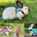Adjustable Rabbit Dishes & Leash Set for Small Animals 2 Pieces in Blue & Pink | Perfect for Rabbits Hares Hamsters & Cats | Outdoor Use - Buy Online on SooperMarket.com