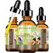 Botanical Beauty Organic PLUM OIL French. 100% Pure Natural Virgin Unrefined Undiluted Cold Pressed Carrier Oil. For Face Skin Hair Body Lips Nails 4 Fl.oz - 120 ml