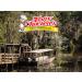Tony Chachere's 32oz Original Seasoning Foodservice Size - 2 Pack | Authentic Cajun Flavor - Buy Online on SooperMarket.com