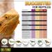 Exo Terra Intense Basking Spot Heat Lamp R20 25W E27 Socket - Pack of 2 | International Shipping Available - Buy Online on SooperMarket.com