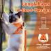 Supet Cat Dishes & Soft Vest Set for Cats & Small Dogs - Adjustable Leash Breakfast Collection Medium (33-38 cm) - Orange - Buy Online on SooperMarket.com