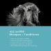 iGroom All-In-One Dog Shampoo + Conditioner 16 oz - Luxury Pet Beauty Care for All Coat Types - Hydrating & Conditioning Formula Made in USA - Buy Online on SooperMarket.com