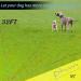 32ft Red Dog Tie Out Cable & Stake for Outdoor Play and Camping - Buy Online on SooperMarket.com