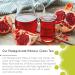 Thames Tea: Premium Flavoured Loose Leaf Fruit & Herbal Tea - Tubebox (Pomegranate Hibiscus Green Tea) - Buy Online on SooperMarket.com