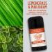 American Provenance Natural Deodorant for Men - Aluminum Free, Long-Lasting, Essential Oils - Lemongrass & Marjoram - Buy Online on SooperMarket.com