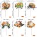 Rsstarxi 36 Pack Pumpkin Thanksgiving Cupcake Toppers Pumpkin Maple Fall Harvest Themed Cupcake Picks Decorations for Thanksgiving Fall Themed Turkey Autumn Party Cake Decorations Style 10 Orange - Buy Online on SooperMarket.com