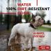 Waterproof Adjustable Dog Collar for Big Medium & Small Dogs | Waudog - Buy Online on SooperMarket.com