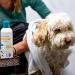 FIRSTPAW 300ml Vegan Pet Shampoo - Aloe Vera Formula for Puppies Dogs & Cats | Best for Sensitive Skin | All Breeds & Fur Types - Buy Online on SooperMarket.com