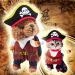 DELIFUR Medium Pirate Dog Costume - Pirates of the Caribbean Style for Dogs & Cats | International Shipping - Buy Online on SooperMarket.com