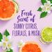 Aussie Hair Insurance Leave-in Spray, Citrus 8 Fl Oz - Pack of 1 - Buy Online on SooperMarket.com