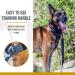 OneTigris Dog Collar with Metal Buckle for Dogs - Durable Black Collar (Medium) - International Shipping Available - Buy Online on SooperMarket.com