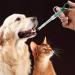 Nuanchu 2 Pieces Cat Dog Pill Shooter & Piller - Pet Syringe Pusher Soft Tip Medicine Feeder - Buy Online on SooperMarket.com