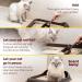 SCENT AWAY Cat litter Deodorizer Litter Box Odor Eliminator | Fragrance Free Cat Litter Deodorizer with ACTIVE CARBON | Eliminates Cat Odors and Smells to Keep Your Home Fresh and Clean (Pack of 1) 310.52 ml (Pack of 1) - Buy Online on SooperMarket.com