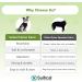 Suitical Recovery Suit for Extra Large Dogs - Black XL - Buy Online on SooperMarket.com