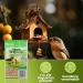 Eggersmann Volaris Bird Food 1kg - High Energy & Fat-Rich Streuk rner for All Birds | Perfect Wild Bird Seed Blend for Year-Round Feeding - Buy Online on SooperMarket.com