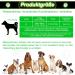 Jostift Luminous Elbe Rechargeable LED Dog Collar - Waterproof & Adjustable for Small/Medium Dogs - Super Bright with 3 Lighting Modes (Green) - Buy Online on SooperMarket.com