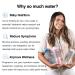 BellyBottle Pregnancy Water Bottle Tracker - BPA-Free, First Trimester Must-Have, Gifts for Women, Nausea Relief Essentials + Stickers & Straw - Buy Online on SooperMarket.com