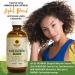 Jamaican Black Castor Oil Light Blend 4oz - Natural Lightweight Oil for Hair & Skin | Seals Moisture, Controls Frizz | Plant-based Formula | 4 Fl Oz - Buy Online on SooperMarket.com
