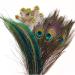 20 pcs Real Natural Peacock Feathers Bulk Set  3 Styles Peacock Feathers for Crafts Multicolored DIY Craft Hat and Vase Decoration  Easter Decoration Wedding Flower Arrangement